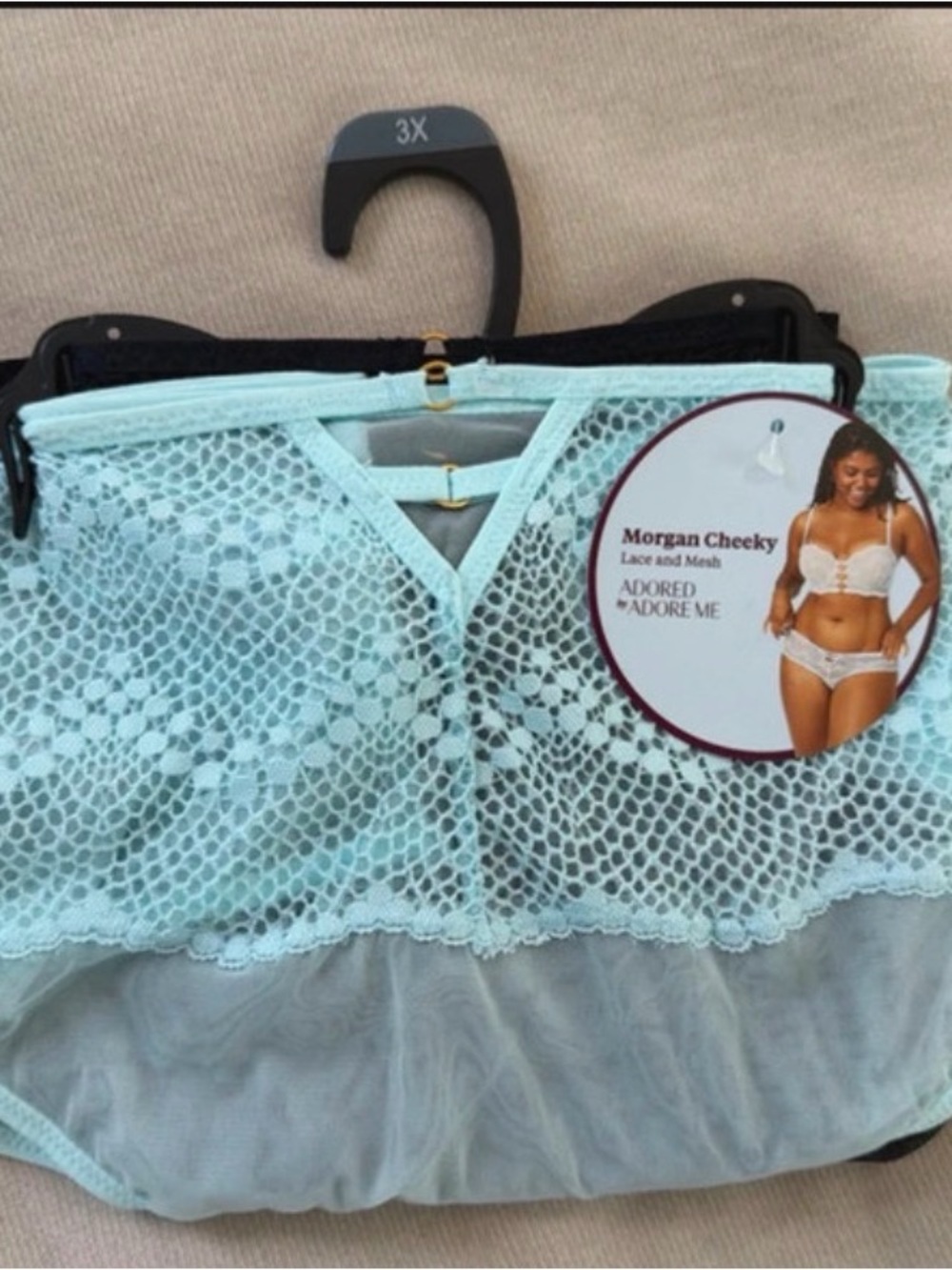 Adore Me Morgan Cheeky Lace High-Waist Brief in Light Aqua & Black 3X